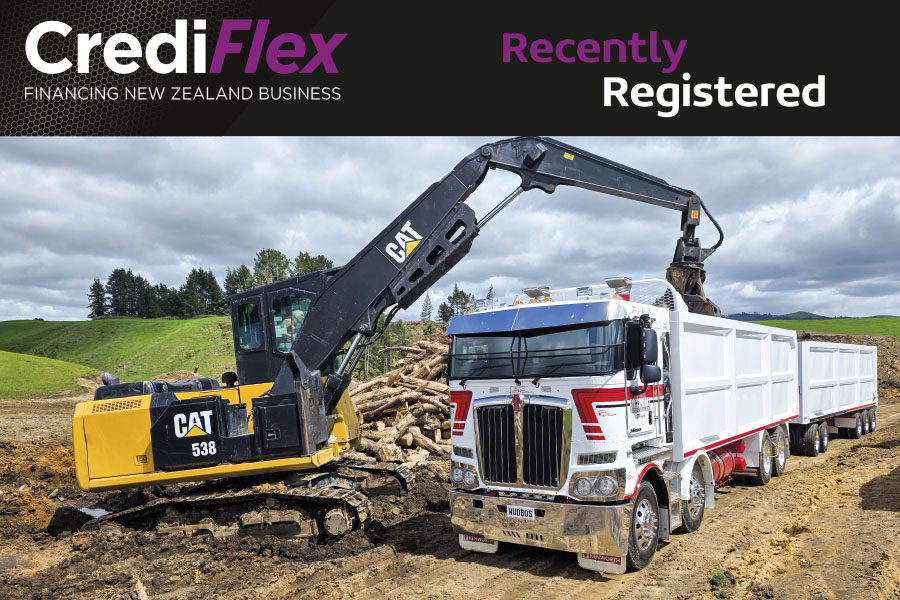 A small lift in truck registrations