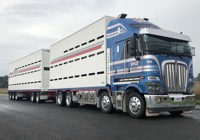 NZ Transport Imaging August 2021