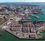 NZ Shipping profits are ship-shape