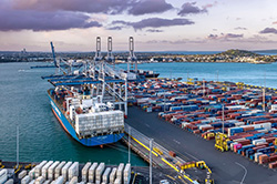 Strong volume growth drives record profit for Port of Auckland